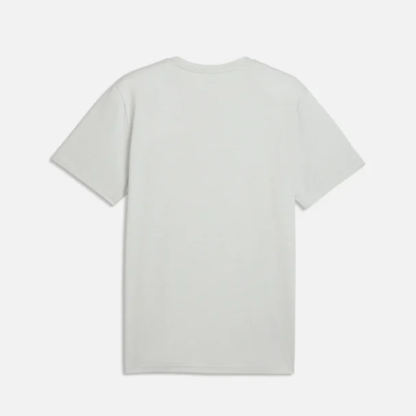 PUMA Men's Train All Day Essentials T-Shirt Créme De Mint Heather
