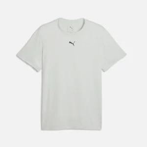 PUMA Men's Train All Day Essentials T-Shirt Créme De Mint Heather