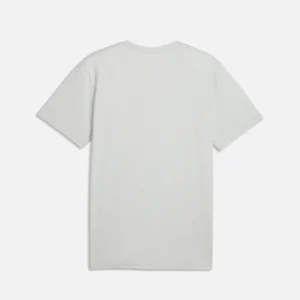 PUMA Men's Train All Day Essentials T-Shirt Créme De Mint Heather