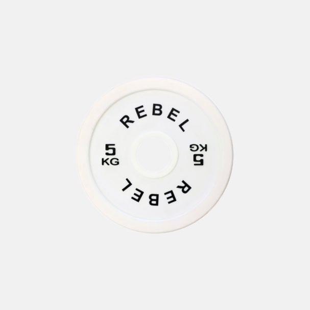 REBEL Fractional Micro Weight Plates