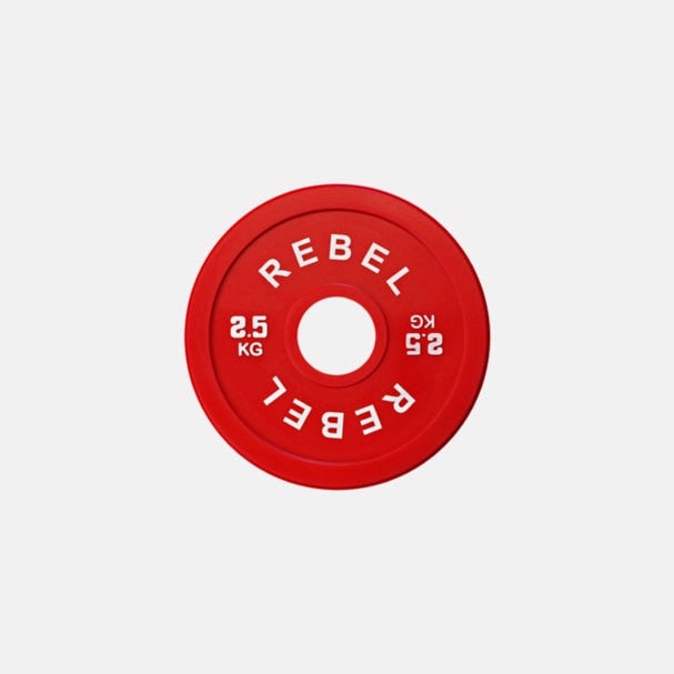 REBEL Fractional Micro Weight Plates