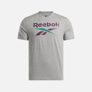 Reebok Men's Vector Stacked Logo T-Shirt Grey and Midnight Plum