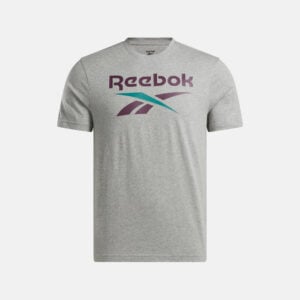 Reebok Men's Vector Stacked Logo T-Shirt Grey and Midnight Plum