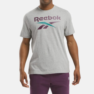 Reebok Men's Vector Stacked Logo T-Shirt Grey and Midnight Plum
